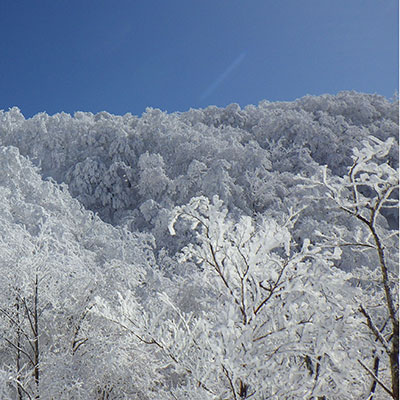 霧氷と積雪が広がる山を眼下に見ることができます