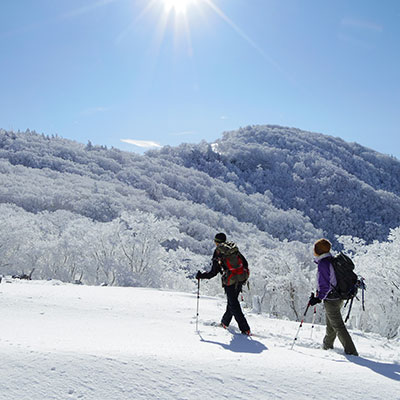 誰も歩いていない雪原を踏みしめて歩きます