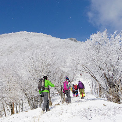 中腹の馬の背から見上げる山頂と青空