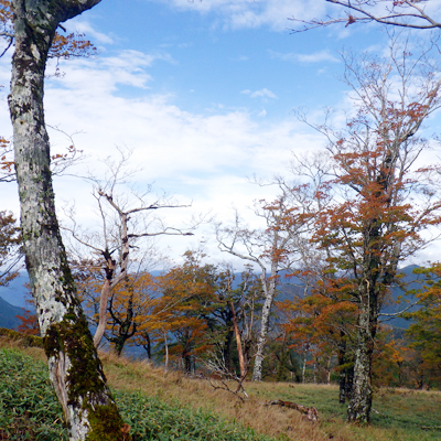 尾根の上からは左右に絶景が